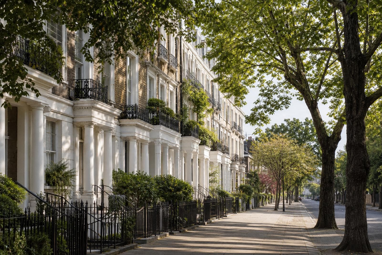 Tree-lined West London street of period townhouses in morning light